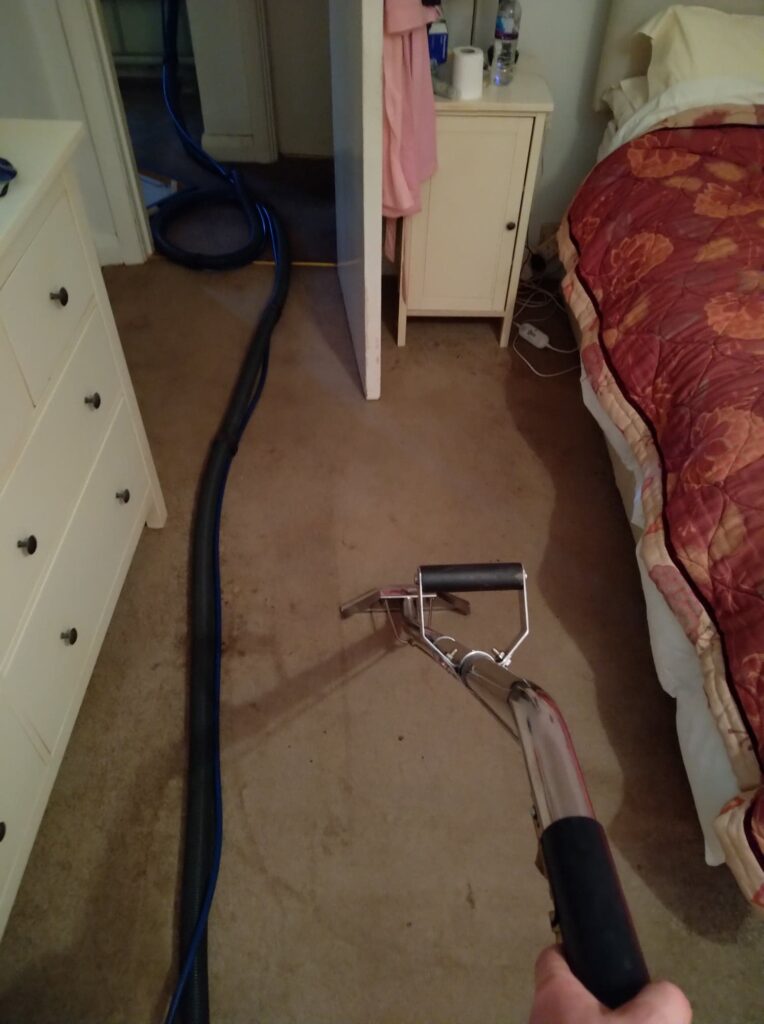 carpet cleaner southampton