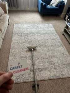 The Carpet Cleaners