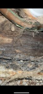 Our Case Study – Leak Find and Fix in Eastleigh