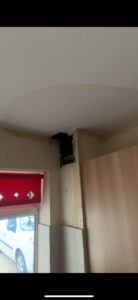 Our Case Study – Leak Find and Fix in Eastleigh.